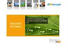 Tablet Screenshot of ecoenergetic.com